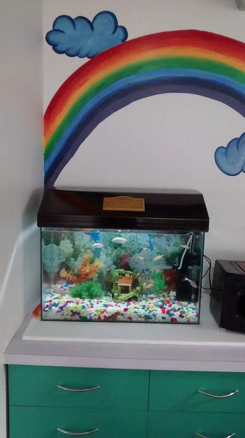 Happy Kidz Pediatric Dental Clinic Image 2
