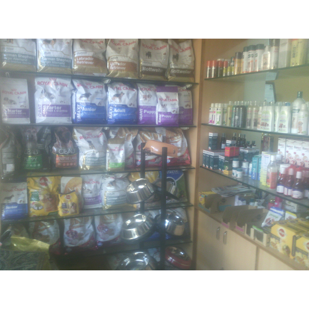 Dr AP Clinic Image 4