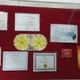 Chhabra Psychiatry Centre Image 6