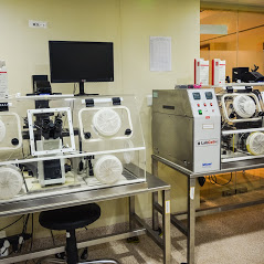 Indira IVF Delhi Image 4