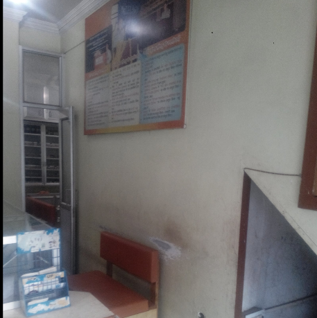 Meera Shangloo Homeopathic Research Centre Image 1