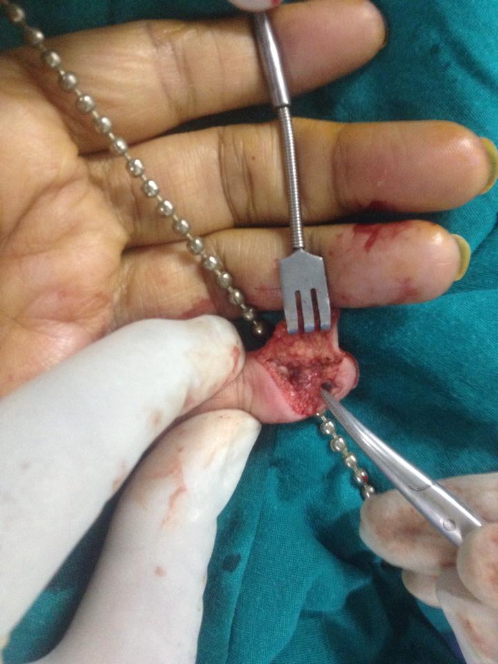 Ladiva Center Of Excellence For Cosmetic&Plastic Surgery Image 4