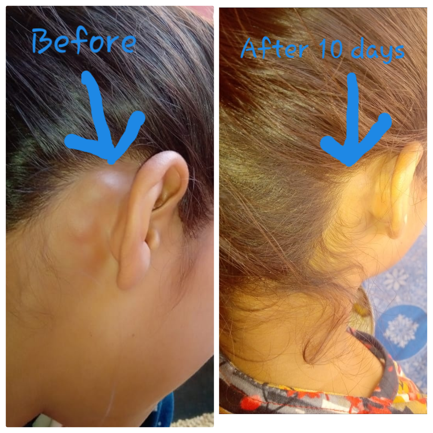 Shikhar Homoeopathy Image 4