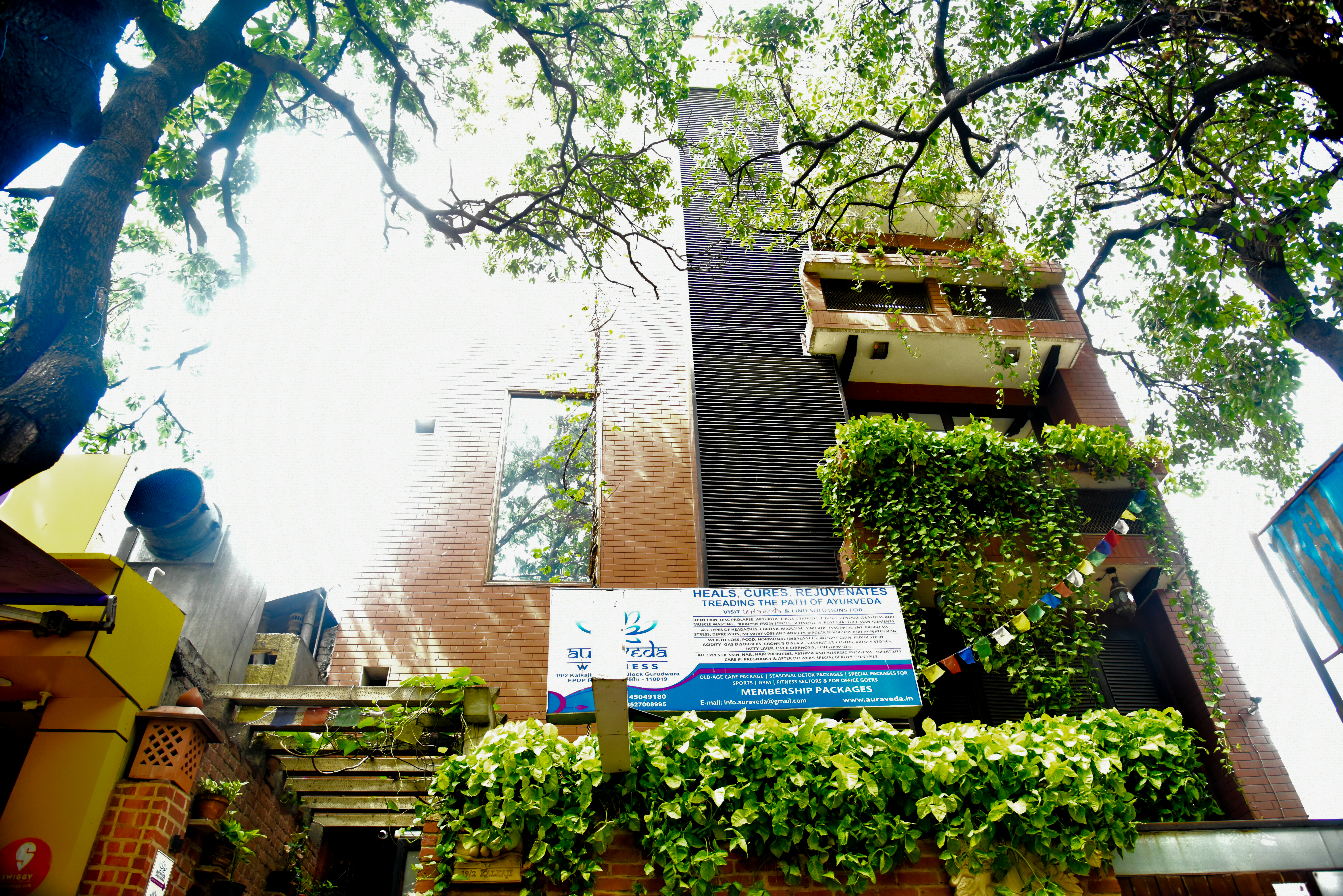 Auraveda Wellness Image 10