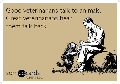 Amulya Pet Specialty Clinic Image 3