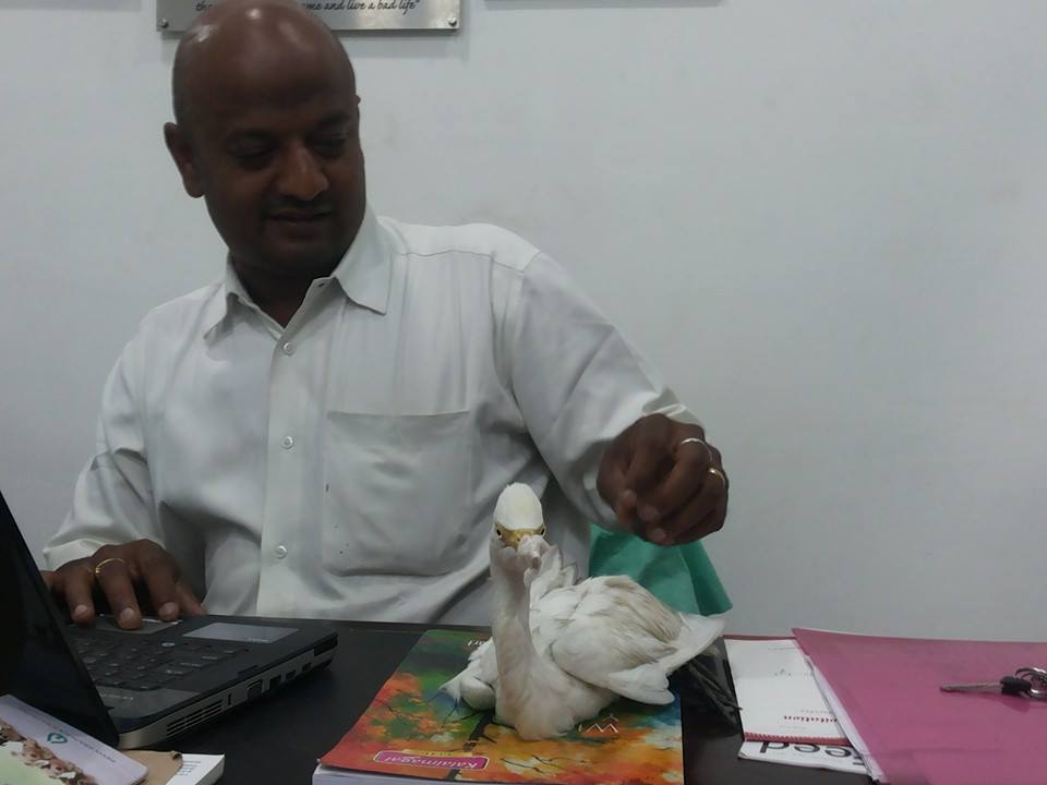 Amulya Pet Specialty Clinic Image 2