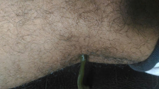 Shree Vishwasanskruti Ayurved Chikitsalaya Image 6