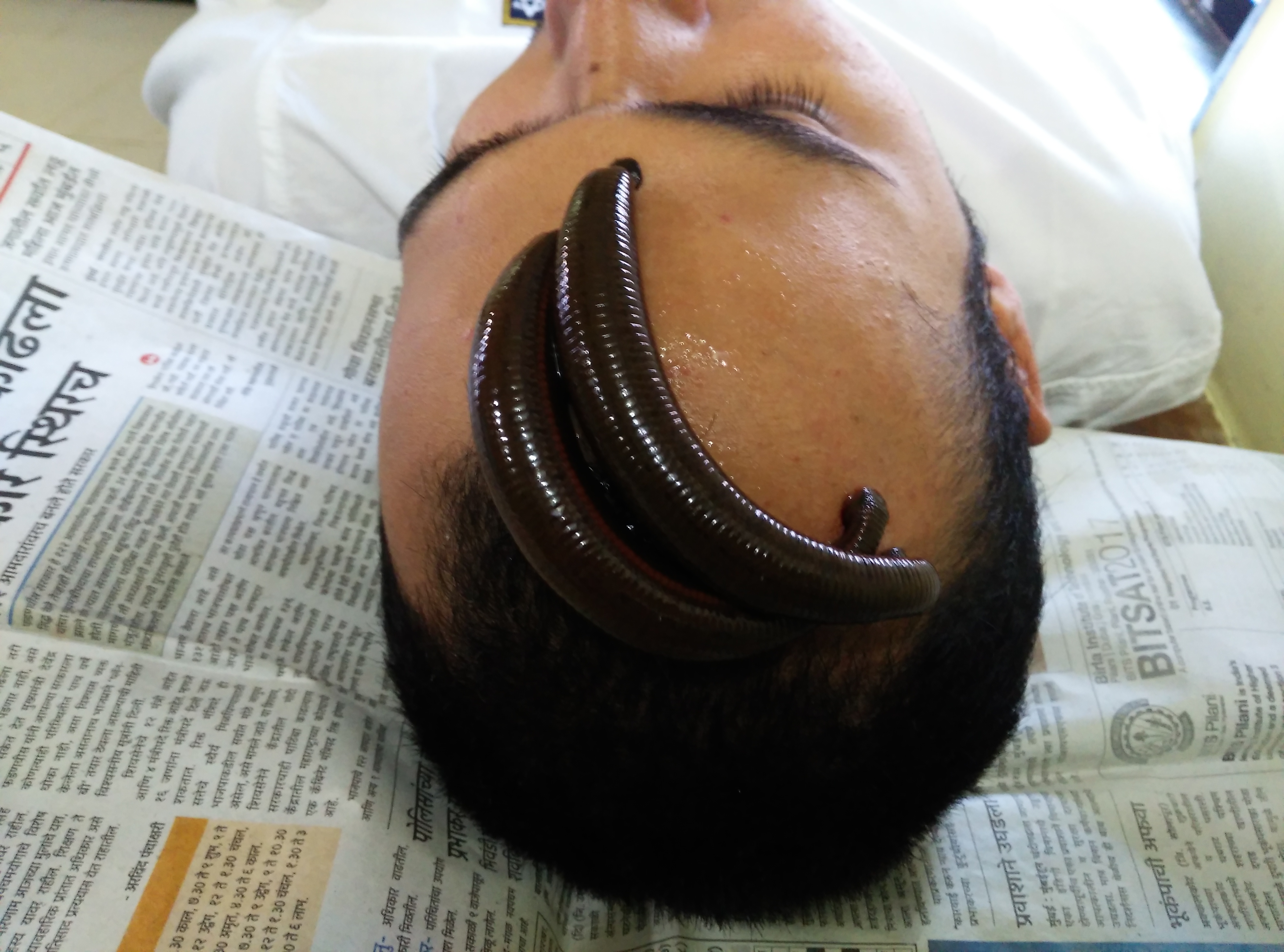 Dr. Anupam Dandgavhal At Thane Image 1