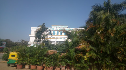 Apollo Hospitals - Bannerghatta Image 4