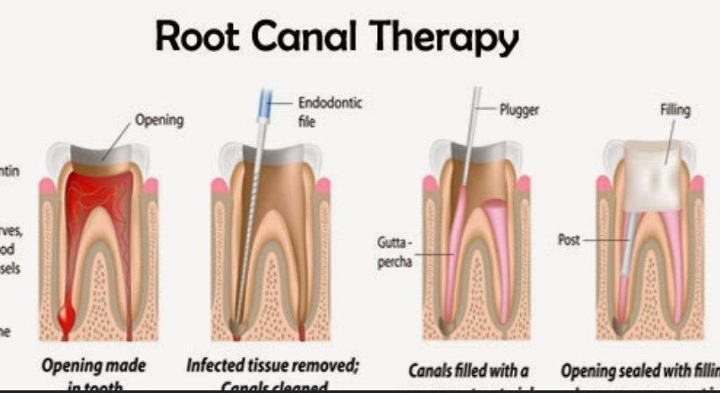 DR SUJATA'S GENTLE DENTAL CARE Image 1
