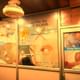 Advanced Ear Nose Throat Endoscopy Center Image 4