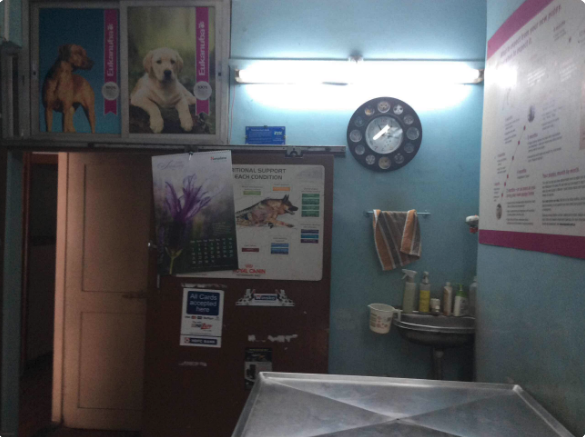Animal Health Care Image 1