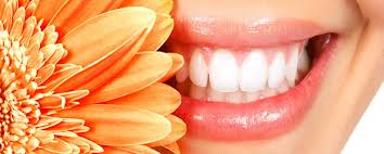 Life Line Health n Dental care Image 1