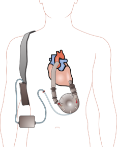 Heart Clinic Image 1