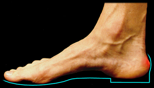 Ortho Neuro Chiropractic Physiotherapy Clinic Image 4