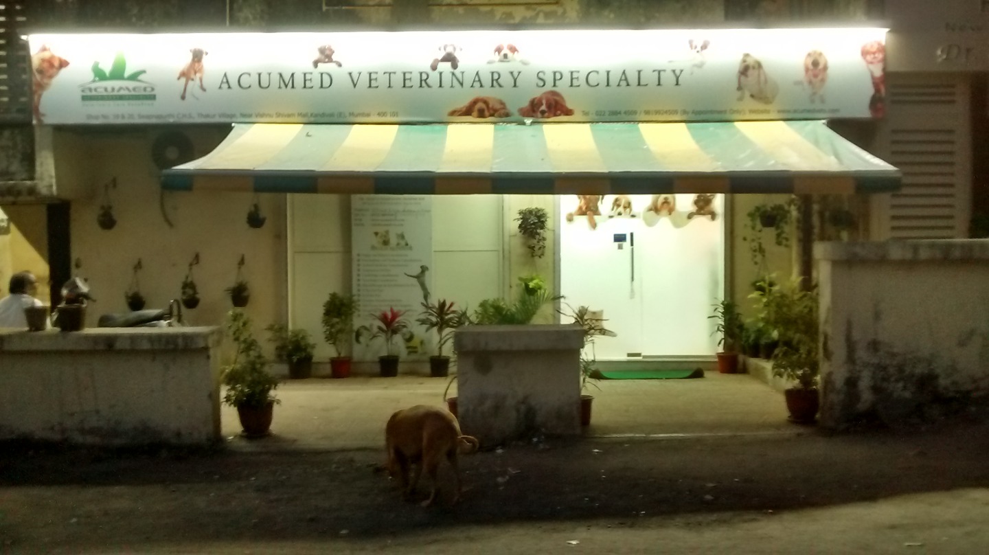 Acumed Veterinary Specialty Image 5