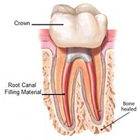 Smile Xpertz Image 1