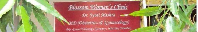 Blossom Women's Clinic Image 2