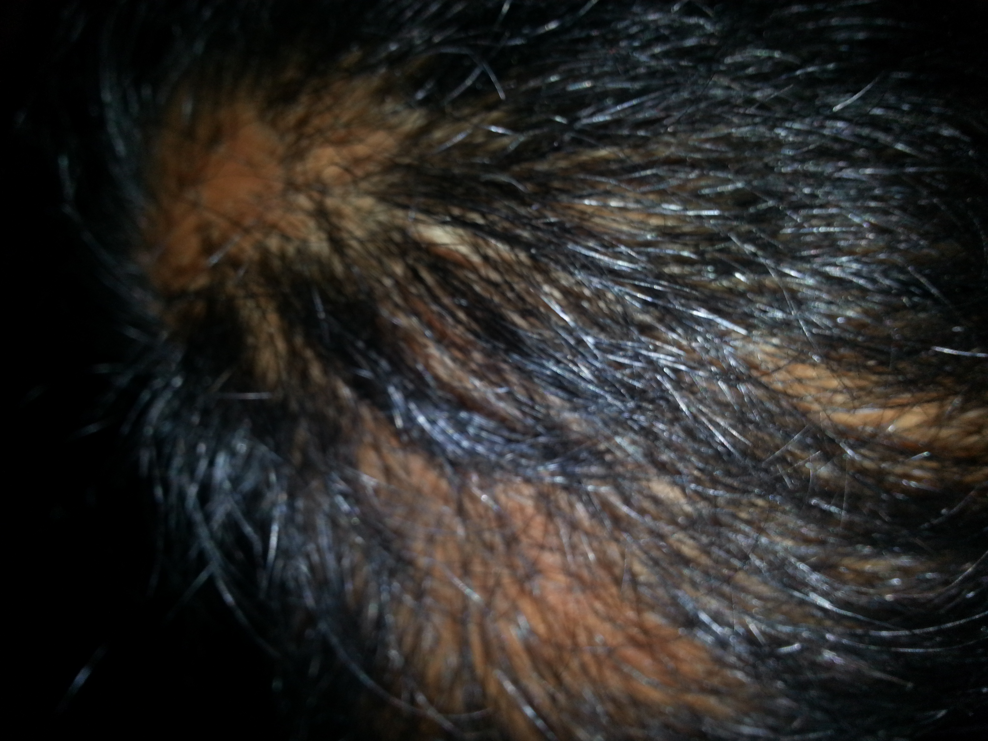 Dr.SANJAY'S HOMOEOPATHY Image 4