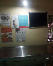 Pet clinic (Dr Brajesh Gupta) Image 3