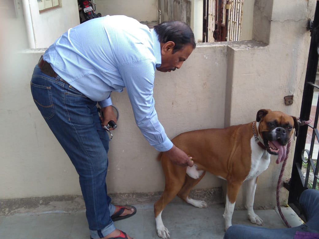 PET CLINIC Image 6