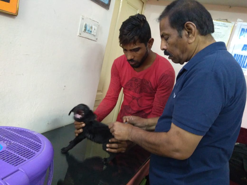 PET CLINIC Image 7
