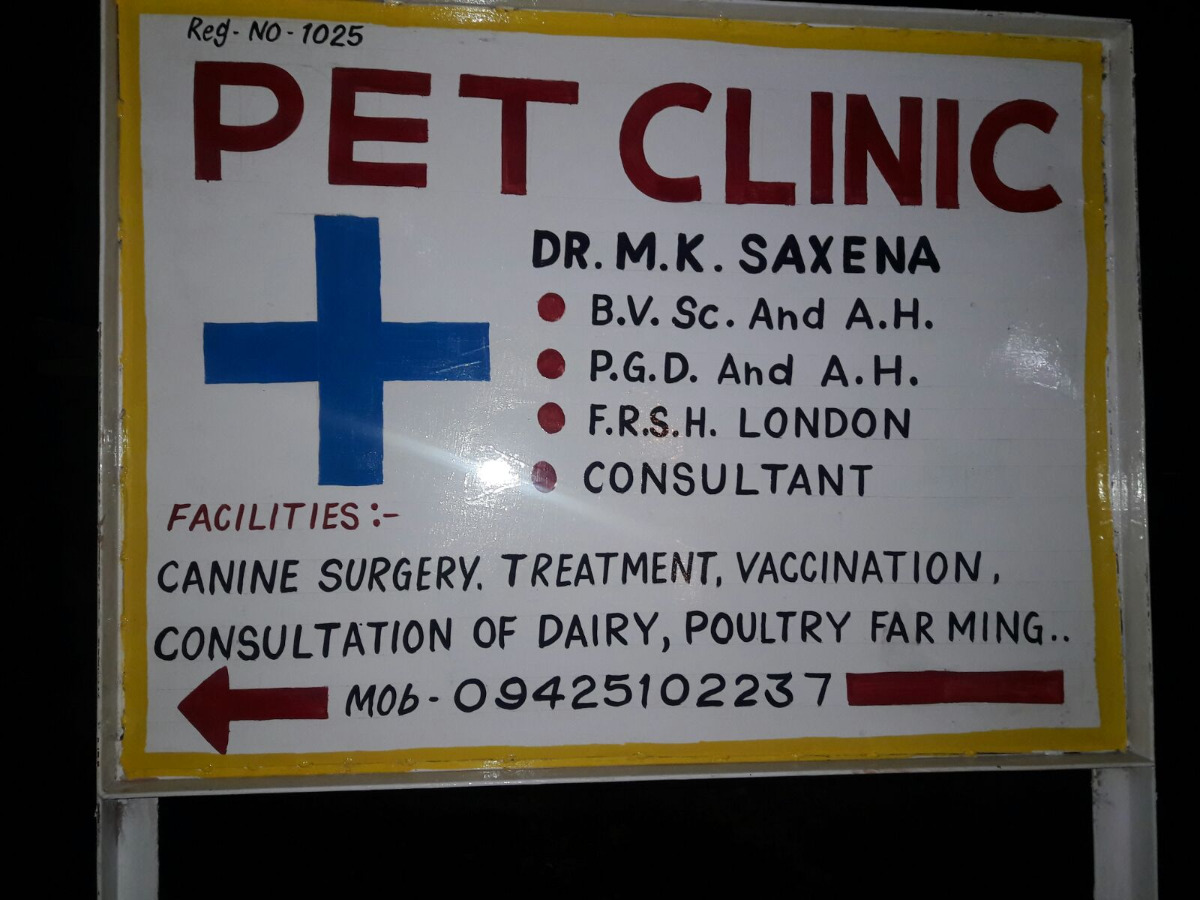 PET CLINIC Image 3