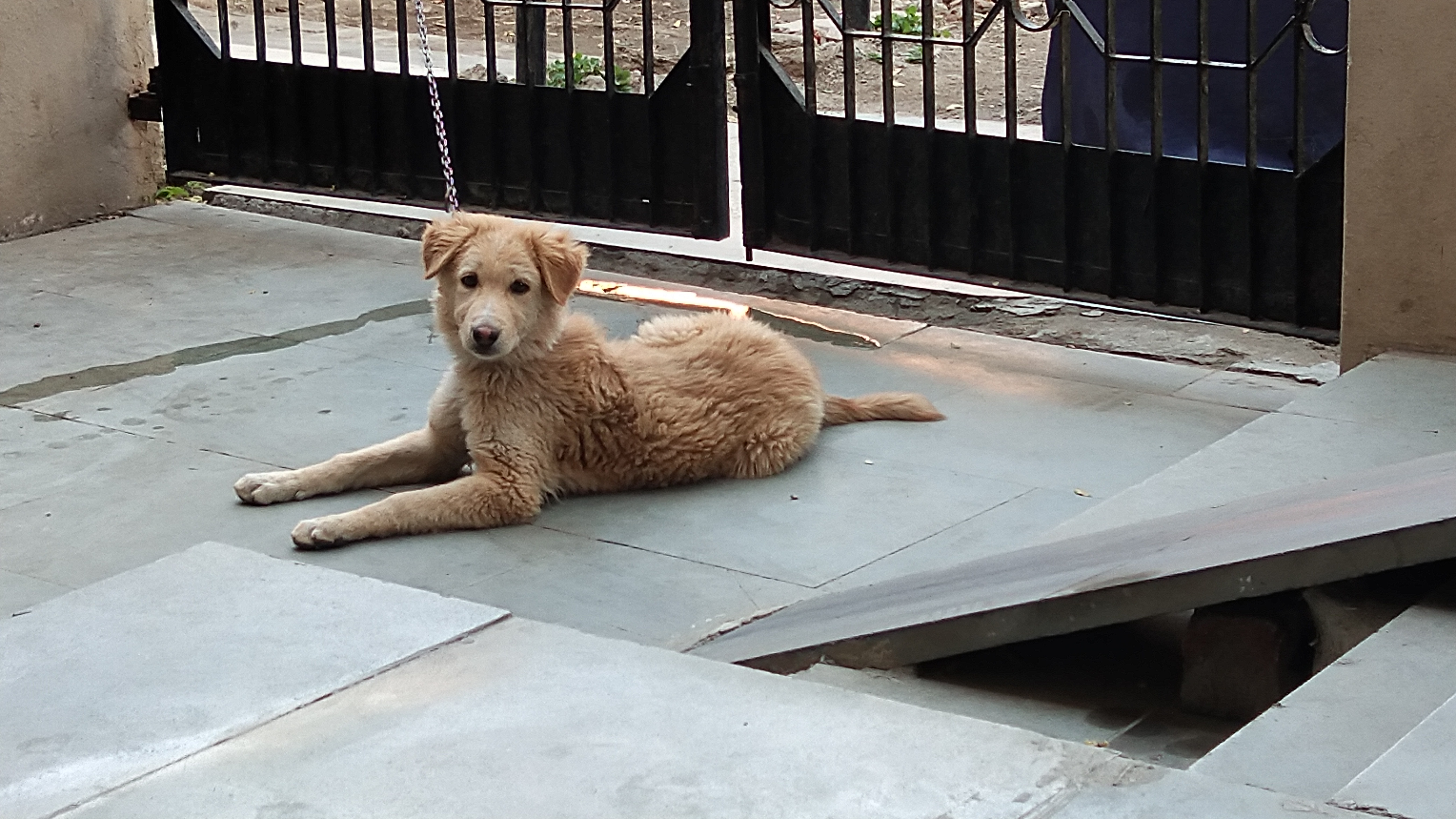 PET CLINIC Image 9