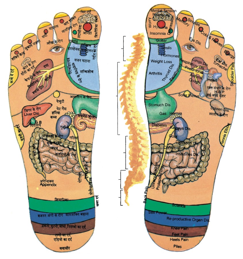 Acupressure Health Care System Image 10