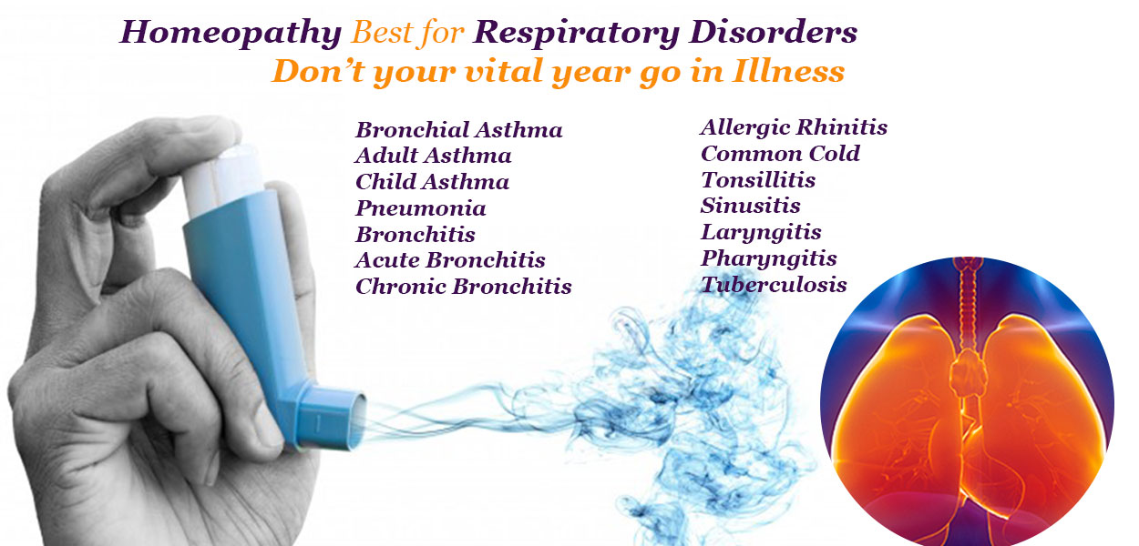 Nash Homeoplex Image 2