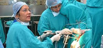 DR Urvashi Jha Gynecare Clinic Image 1