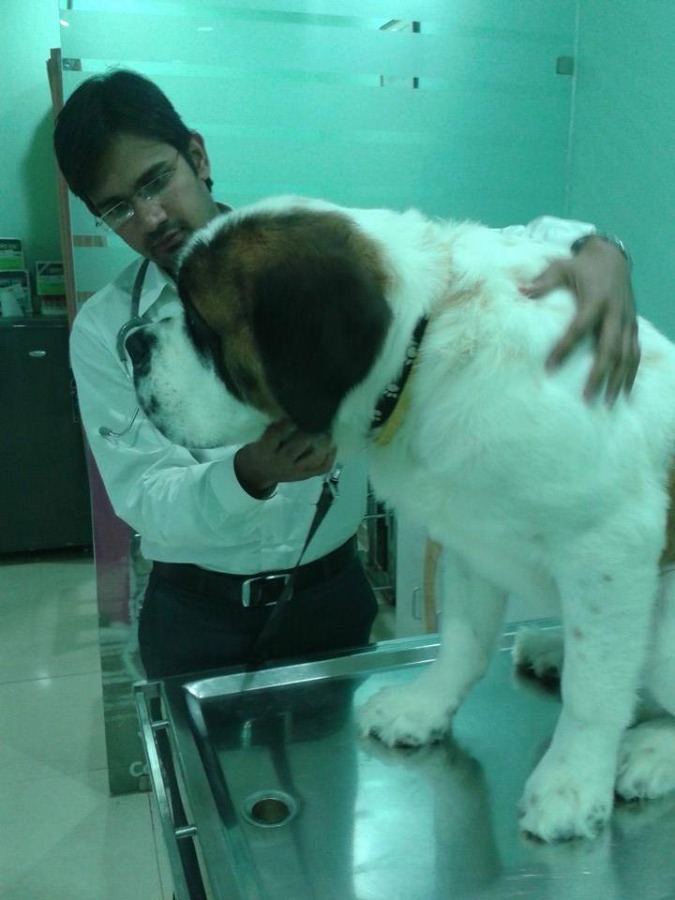 SKRD VETERINARY HOSPITAL Image 2