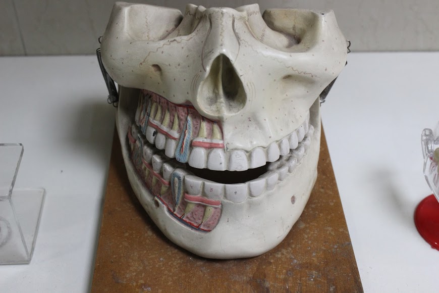 Nagpal Dental Clinic Image 3