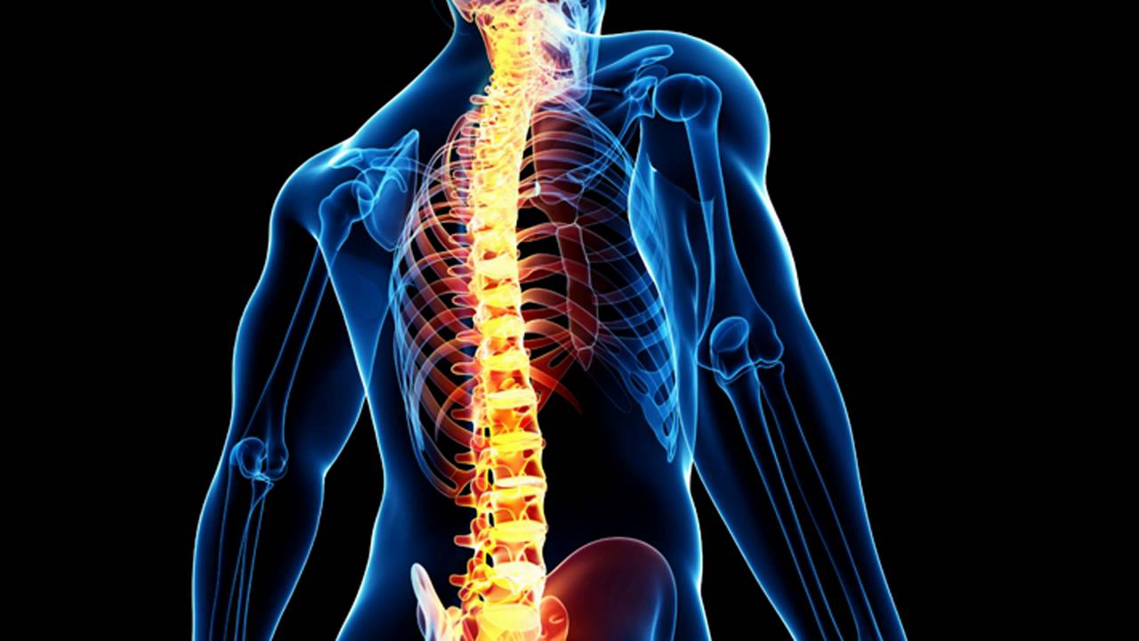 Spine Care Clinic Image 4