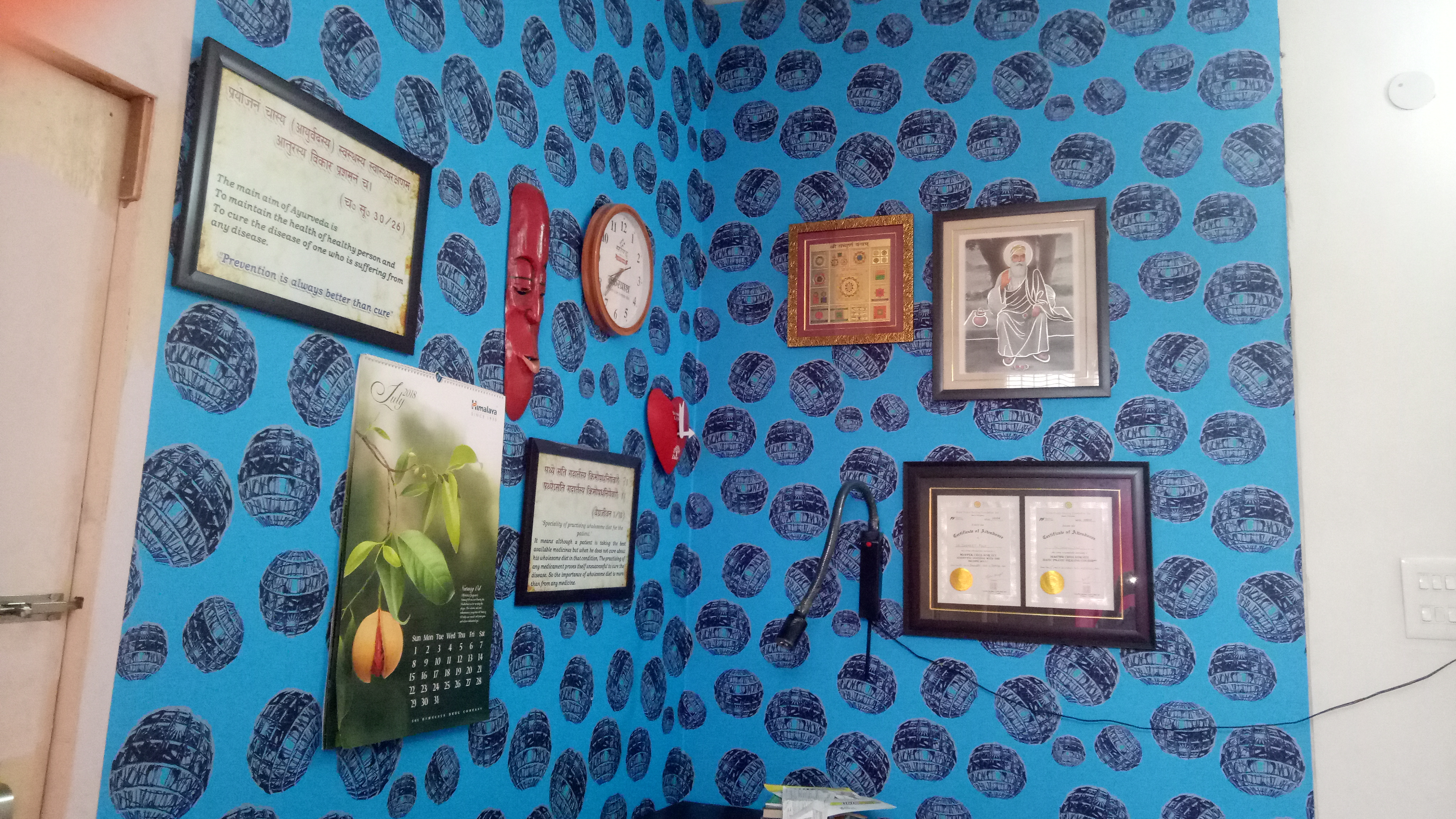 Dr Jaagmeet kaya Plus Ayurvedic Clinic Image 2