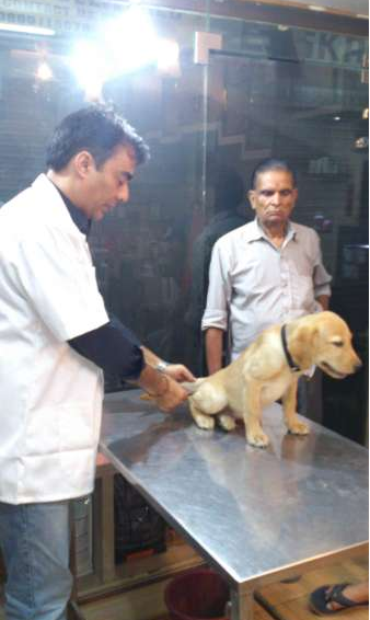 New Delhi Veterinary Clinic Image 3