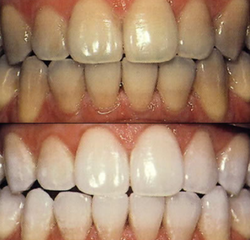 Dentex Prakriti Clinic Image 4