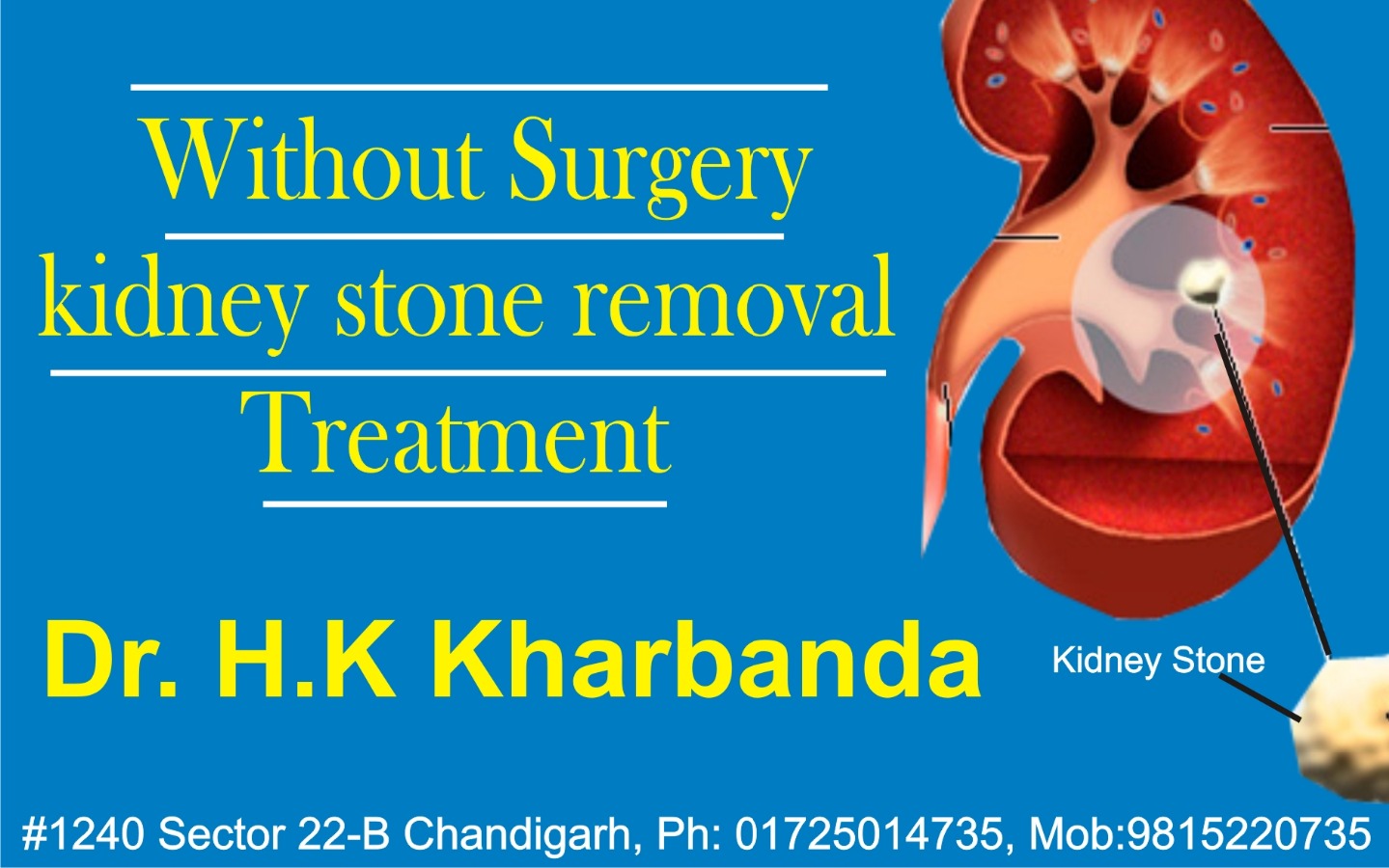 Dr Kharbanda Homeopathy Image 1