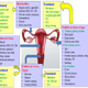 Hindusthan Health Point, Garia, Phone 9874289444, 0334359999 Image 7
