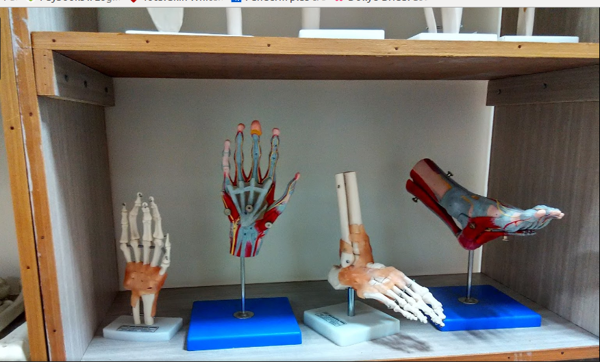 Revive Bone & Eye Clinic Image 2