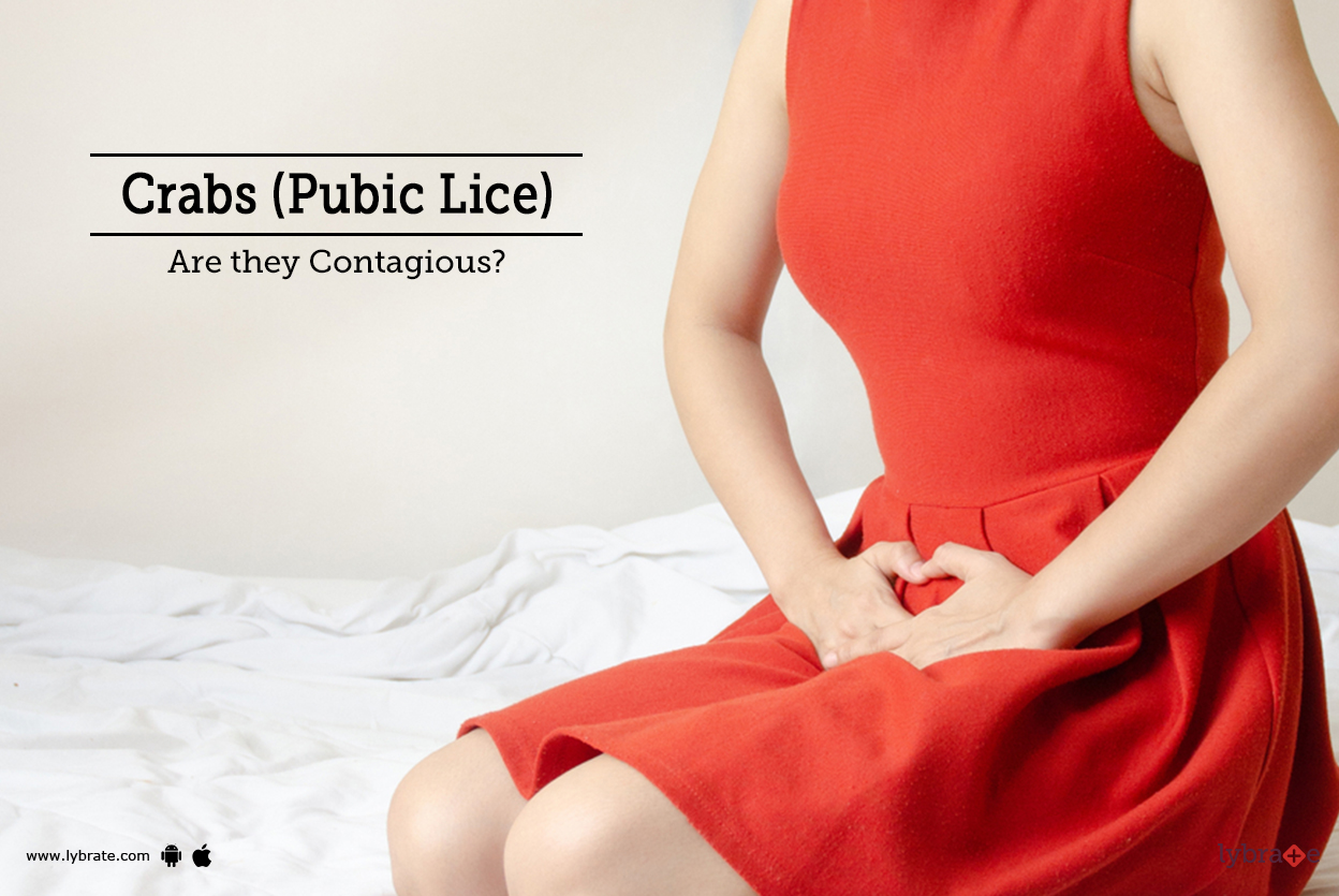 Crabs (Pubic Lice) Are they Contagious? By Dr. Sameer Pahlajani