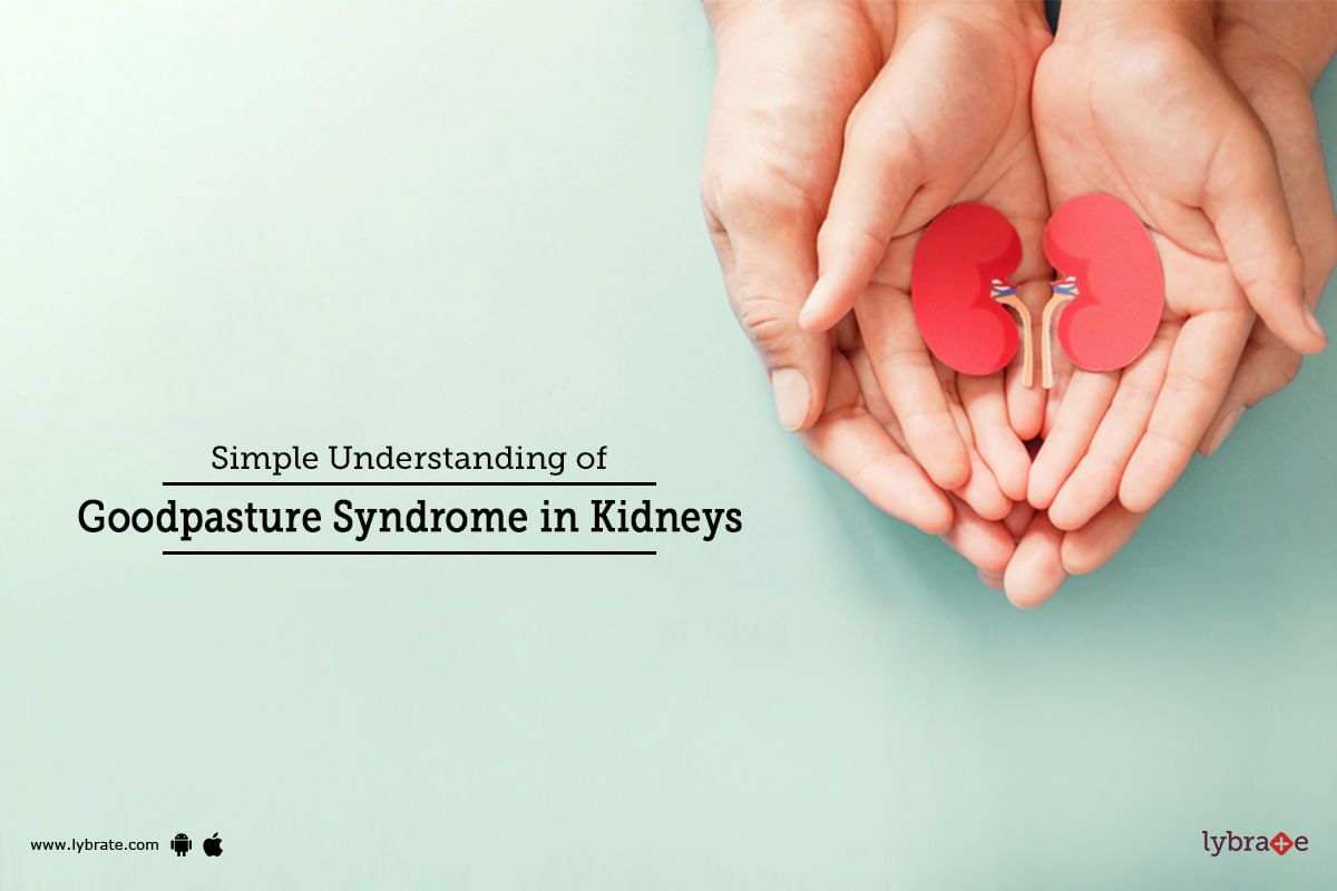 Simple Understanding Of Goodpasture Syndrome In Kidneys - By Dr. Garima ...