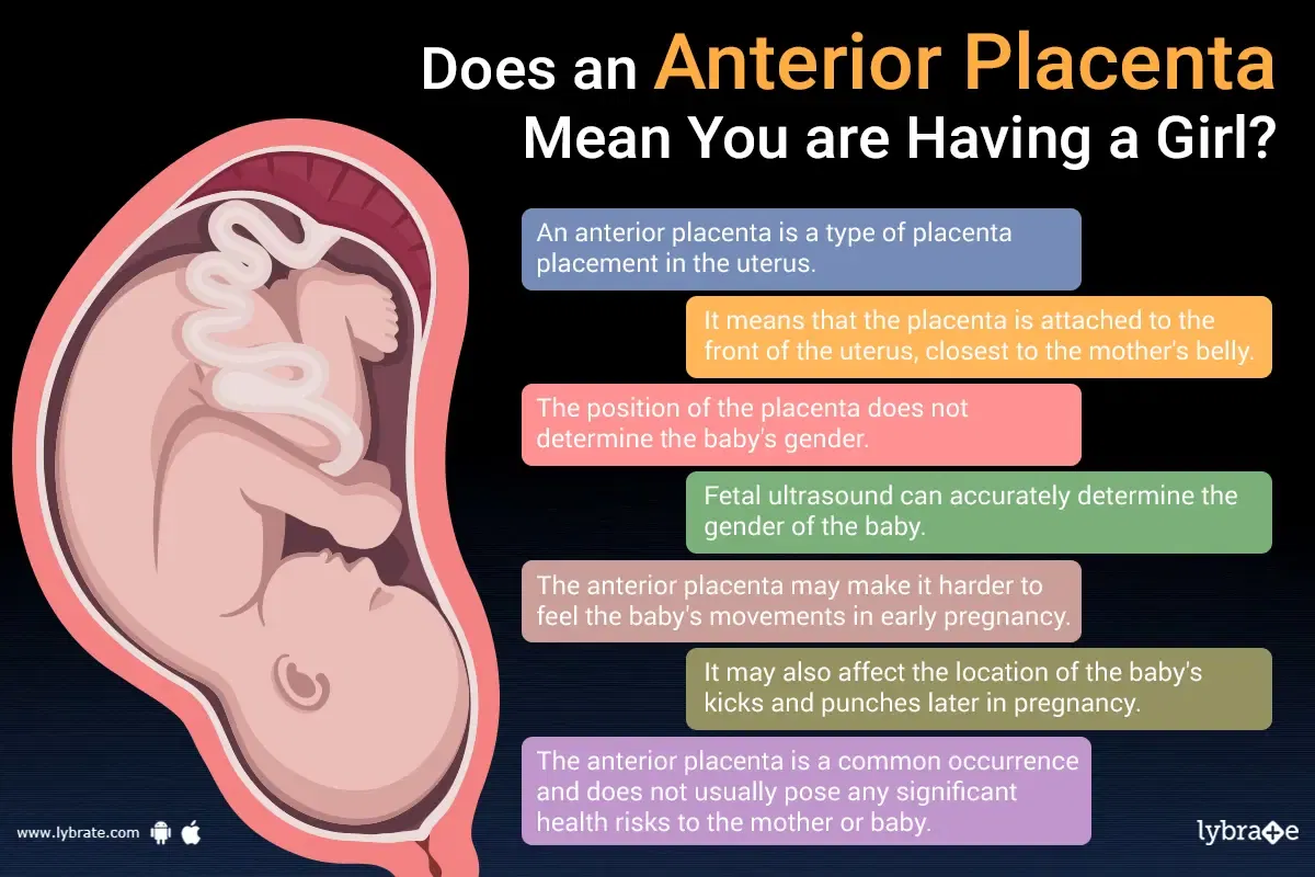 Does an Anterior Placenta Mean You re Having a Girl? - By Dr. Aradhana  Aggarwal | Lybrate