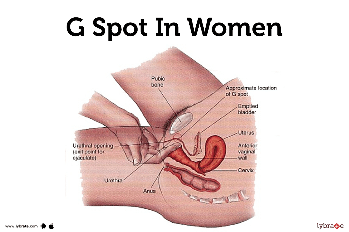 G spot in women