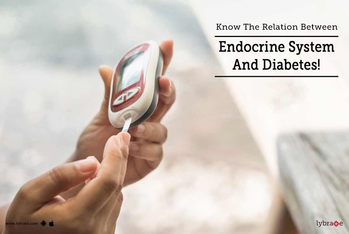 Know The Relation Between Endocrine System And Diabetes! - By Bansal ...