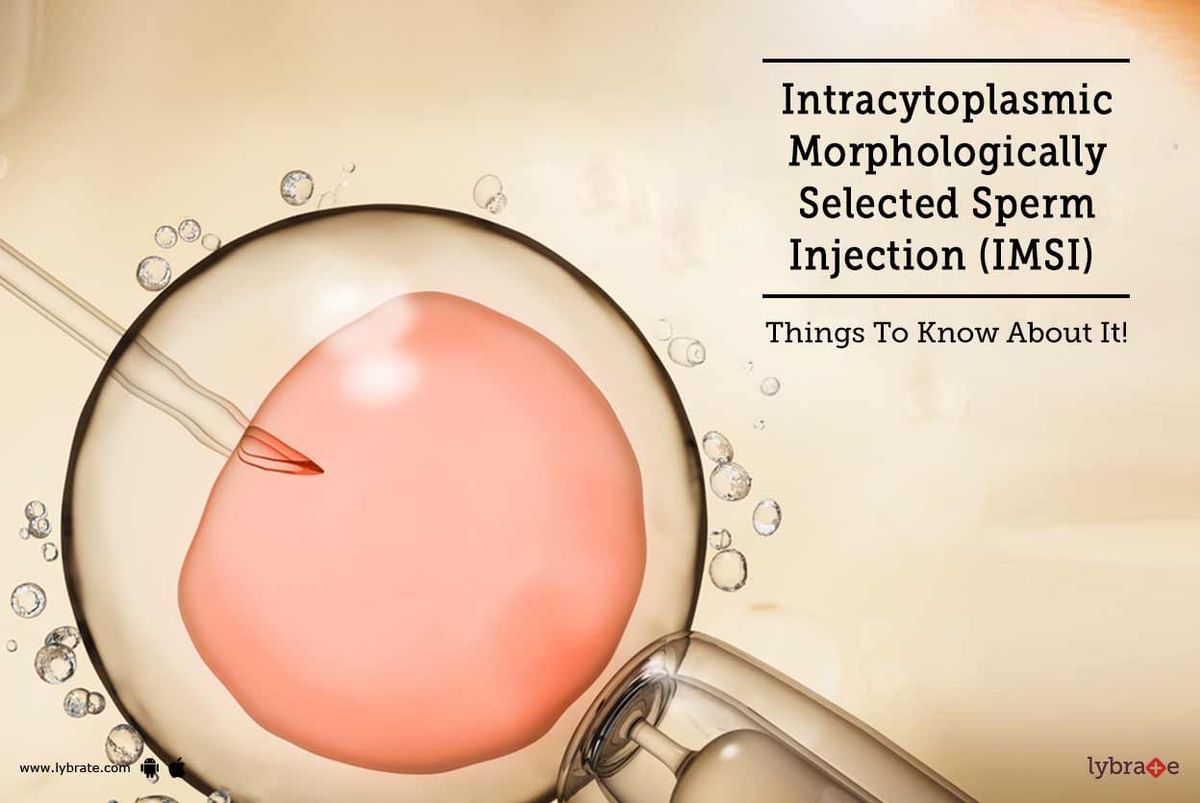 Intracytoplasmic Morphologically Selected Sperm Injection Imsi Things To Know About It 