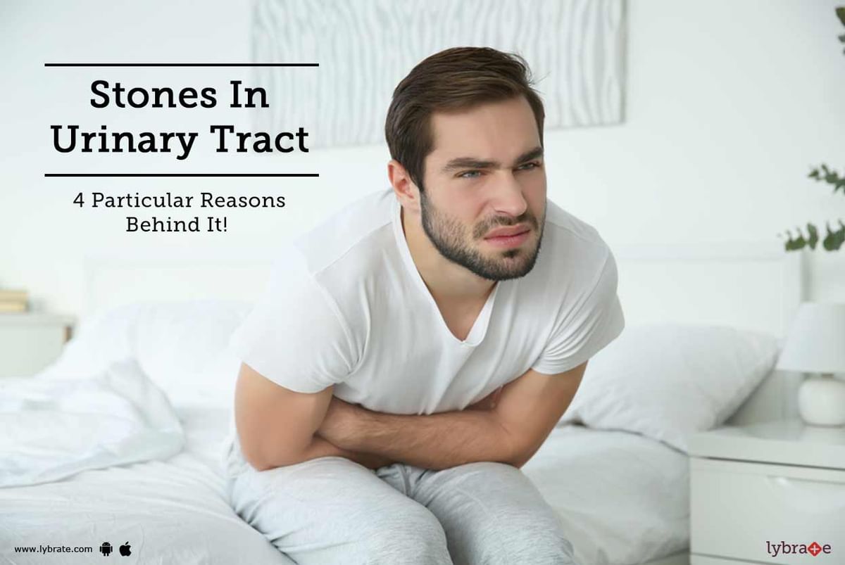 Stones In Urinary Tract - 4 Particular Reasons Behind It! - By Dr. Anil ...