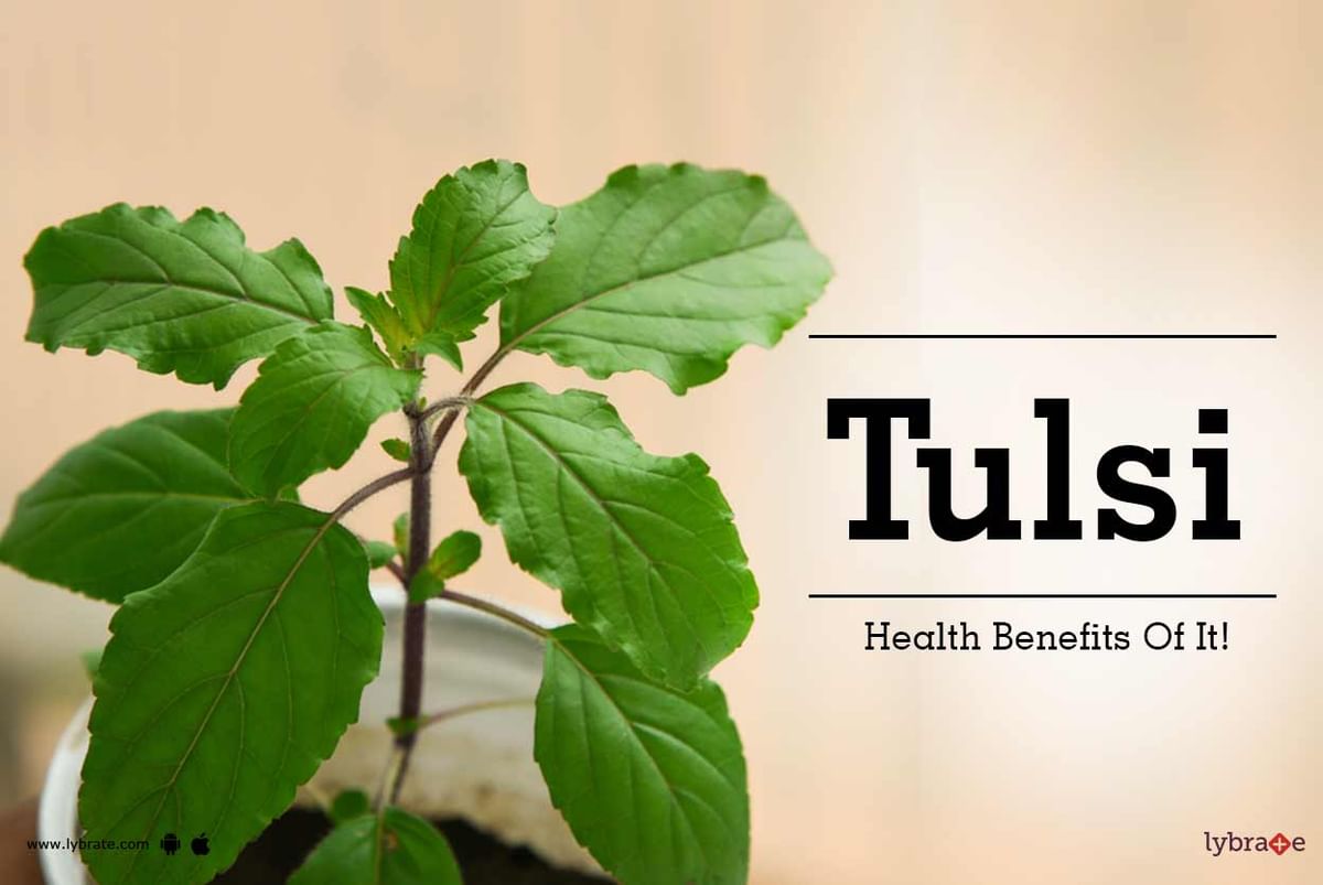 Tulsi - Health Benefits Of It! - By Vedic Gram | Lybrate