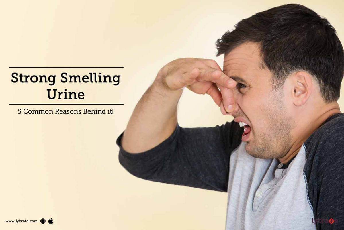 Strong Smelling Urine 5 Common Reasons Behind it! By Dr. Manju Aggarwal Lybrate