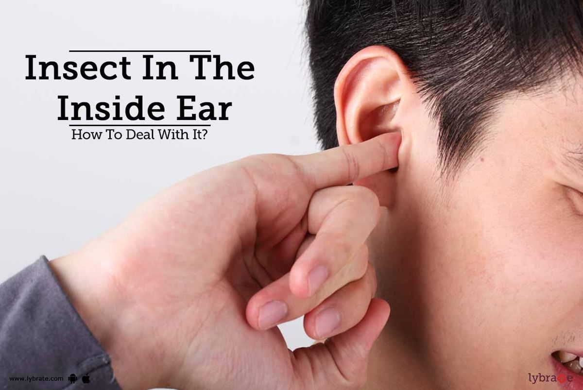 insect-in-inside-ear-how-to-deal-with-it-by-dr-rahul-bhargava